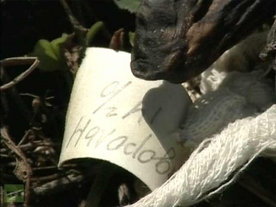 embrya_russia_25-7-2012